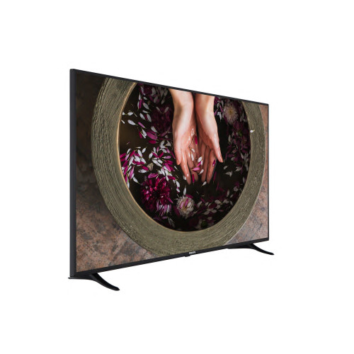 Professional TV