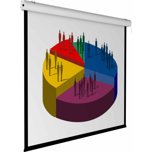 Electric Small Non Tensioned Screens