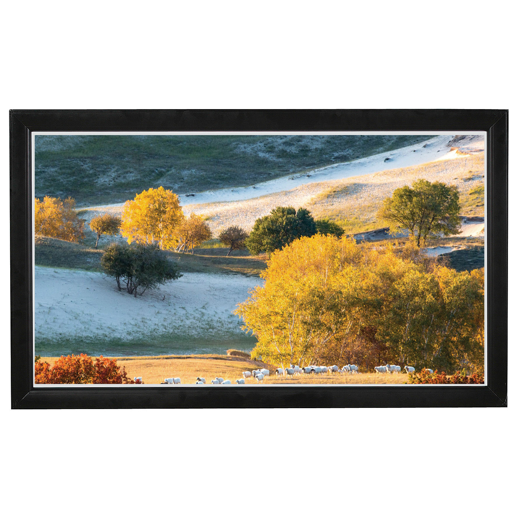 Screen Labs Movieframe Fixed Frame Screen VA 200cm x 125cm, 16/10 ...